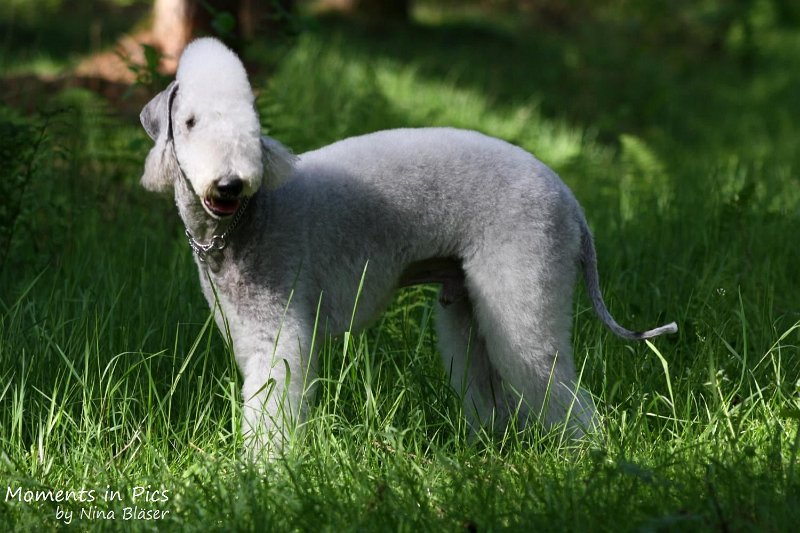 2010-05-29 Alanna und Svet (29).jpg - Airis Blue Volshebny Svet - 2010-05-29